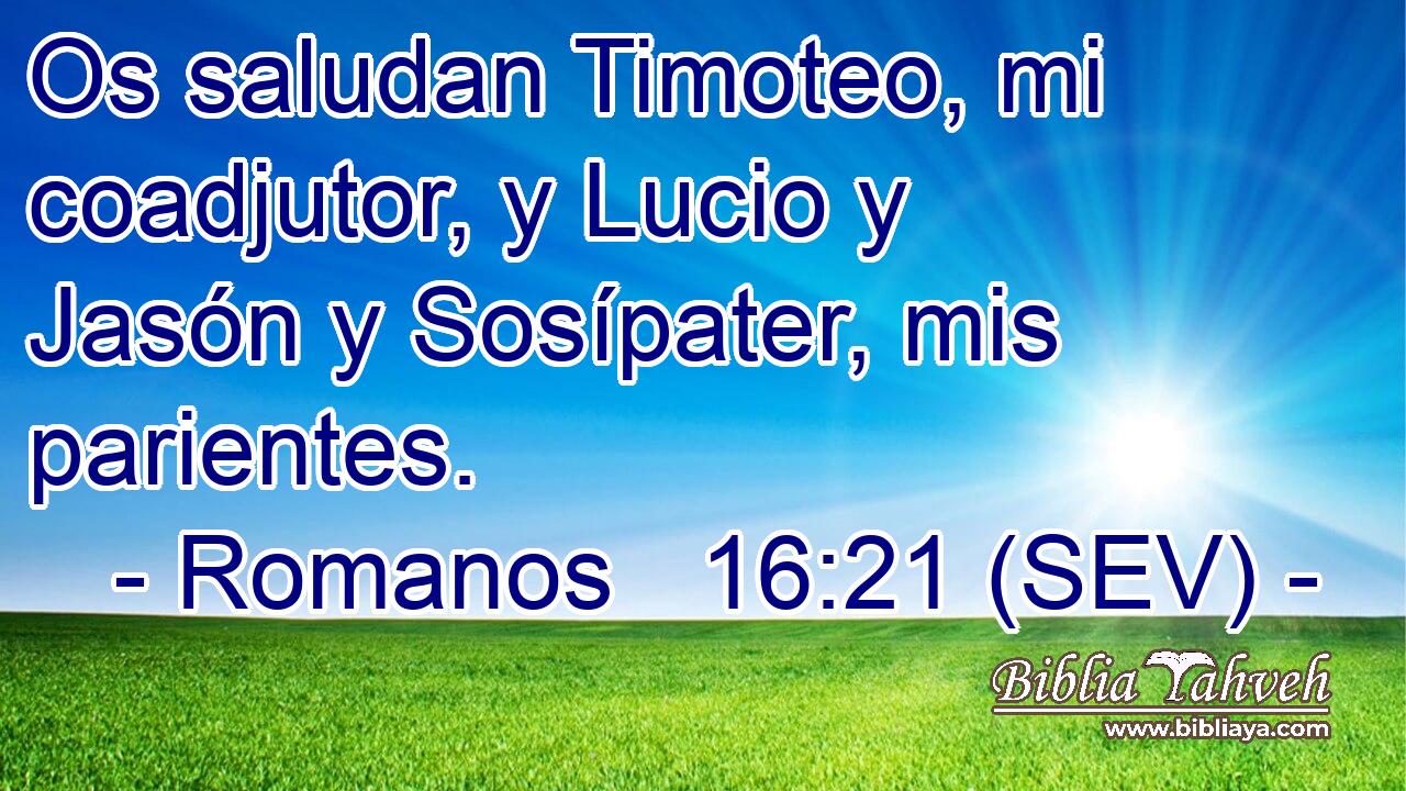 Os saludan Timoteo, mi coadjutor, y Lucio y Jasón y Sosípater, mis parientes.