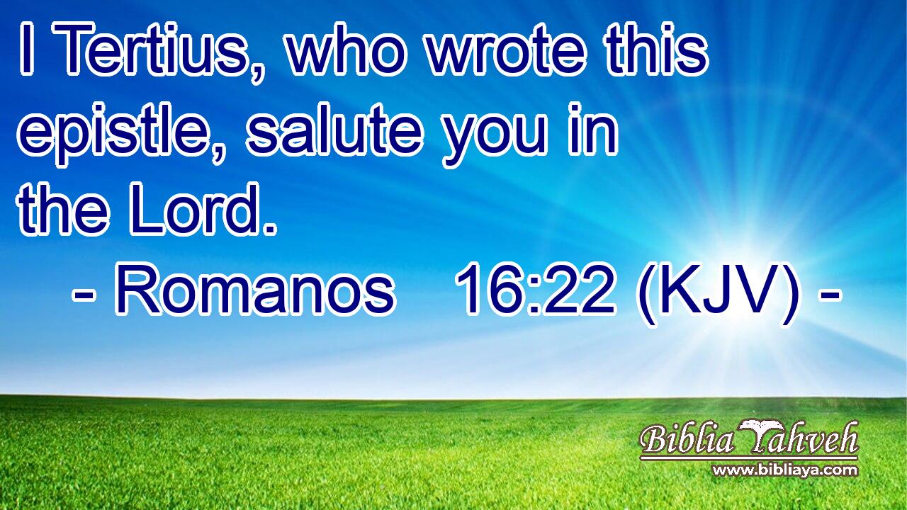 I Tertius, who wrote this epistle, salute you in the Lord.
