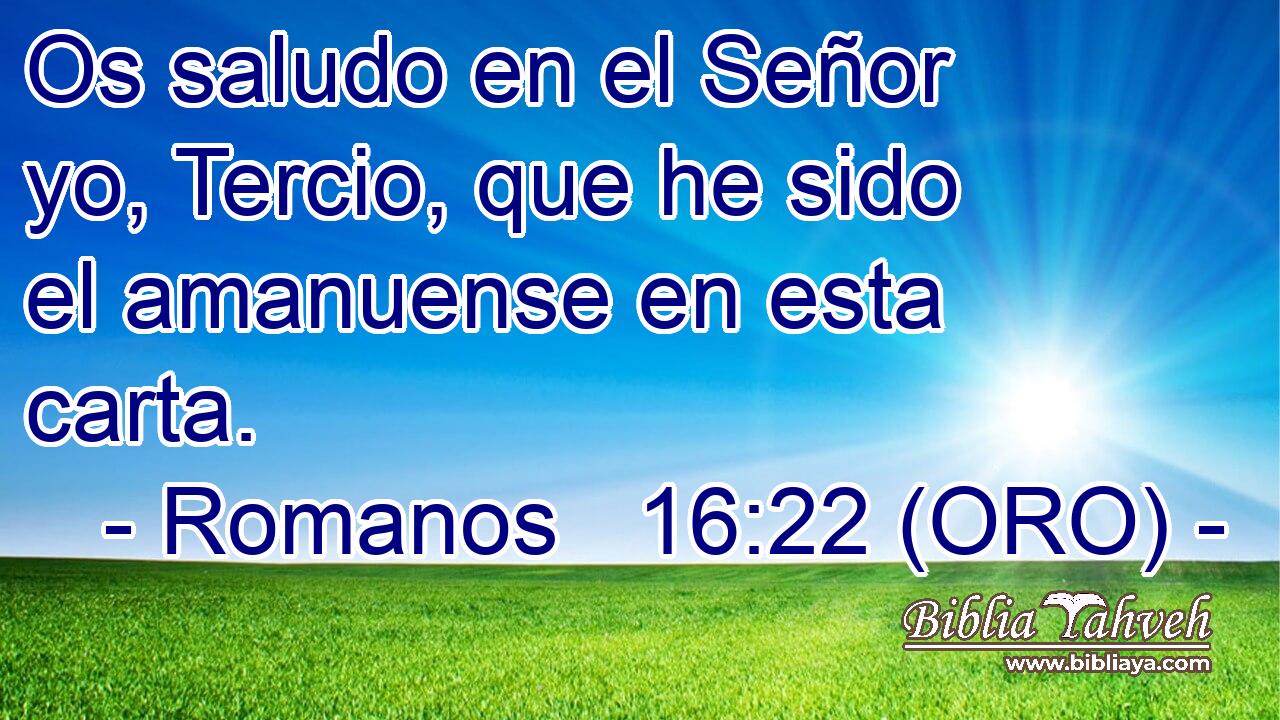  Os saludo en el Señor yo, Tercio, que he sido el amanuense en esta carta. 