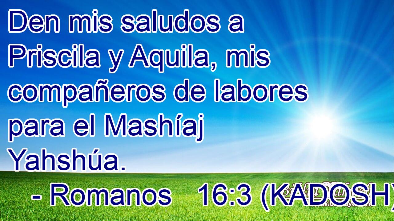  Den mis saludos a Priscila y Aquila, mis compañeros de labores para el Mashíaj Yahshúa. 