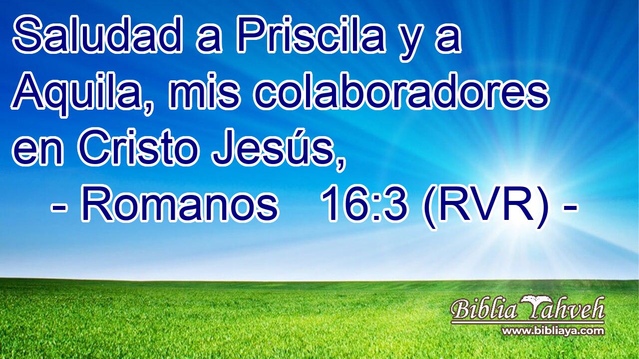 Saludad a Priscila y a Aquila, mis colaboradores en Cristo Jesús,