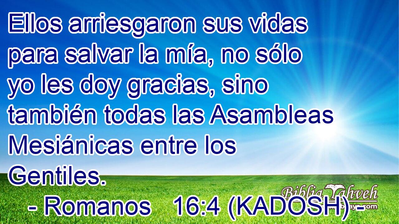  Ellos arriesgaron sus vidas para salvar la mía, no sólo yo les doy gracias, sino también todas las Asambleas Mesiánicas entre los Gentiles. 