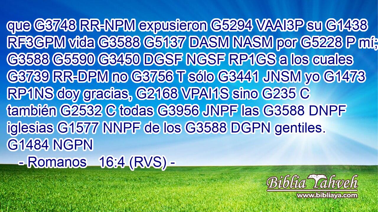 que G3748 RR-NPM expusieron G5294 VAAI3P su G1438 RF3GPM vida G3588 G5137 DASM NASM por G5228 P mí; G3588 G5590 G3450 DGSF NGSF RP1GS a los cuales G3739 RR-DPM no G3756 T sólo G3441 JNSM yo G1473 RP1NS doy gracias, G2168 VPAI1S sino G235 C también G2532 C todas G3956 JNPF las G3588 DNPF iglesias G1577 NNPF de los G3588 DGPN gentiles. G1484 NGPN 