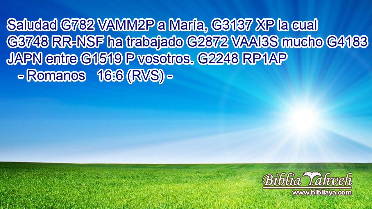 Saludad G782 VAMM2P a María, G3137 XP la cual G3748 RR-NSF ha trabajado G2872 VAAI3S mucho G4183 JAPN entre G1519 P vosotros. G2248 RP1AP 