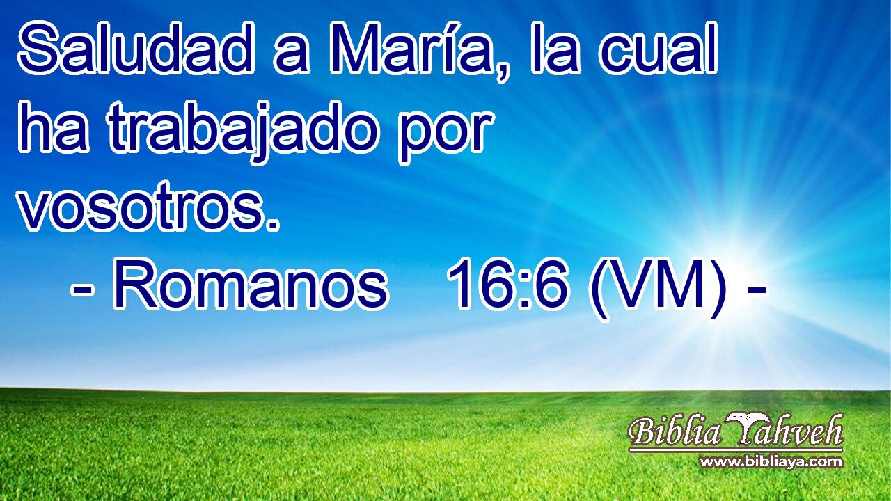 Saludad a María, la cual ha trabajado por vosotros. 