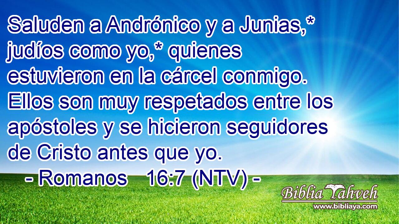 Saluden a Andrónico y a Junias,* judíos como yo,* quienes estuvieron en la cárcel conmigo. Ellos son muy respetados entre los apóstoles y se hicieron seguidores de Cristo antes que yo.