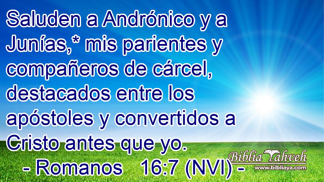 Saluden a Andrónico y a Junías,* mis parientes y compañeros de cárcel, destacados entre los apóstoles y convertidos a Cristo antes que yo. 