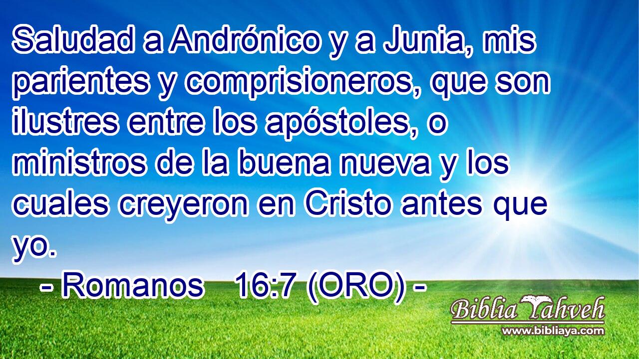  Saludad a Andrónico y a Junia, mis parientes y comprisioneros, que son ilustres entre los apóstoles, o ministros de la buena nueva y los cuales creyeron en Cristo antes que yo. 
