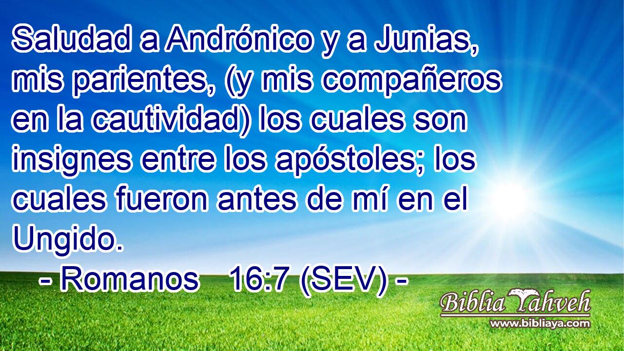 Saludad a Andrónico y a Junias, mis parientes, (y mis compañeros en la cautividad) los cuales son insignes entre los apóstoles; los cuales fueron antes de mí en el Ungido.