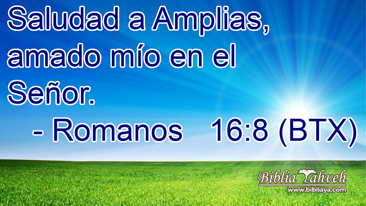 Saludad a Amplias, amado mío en el Señor.