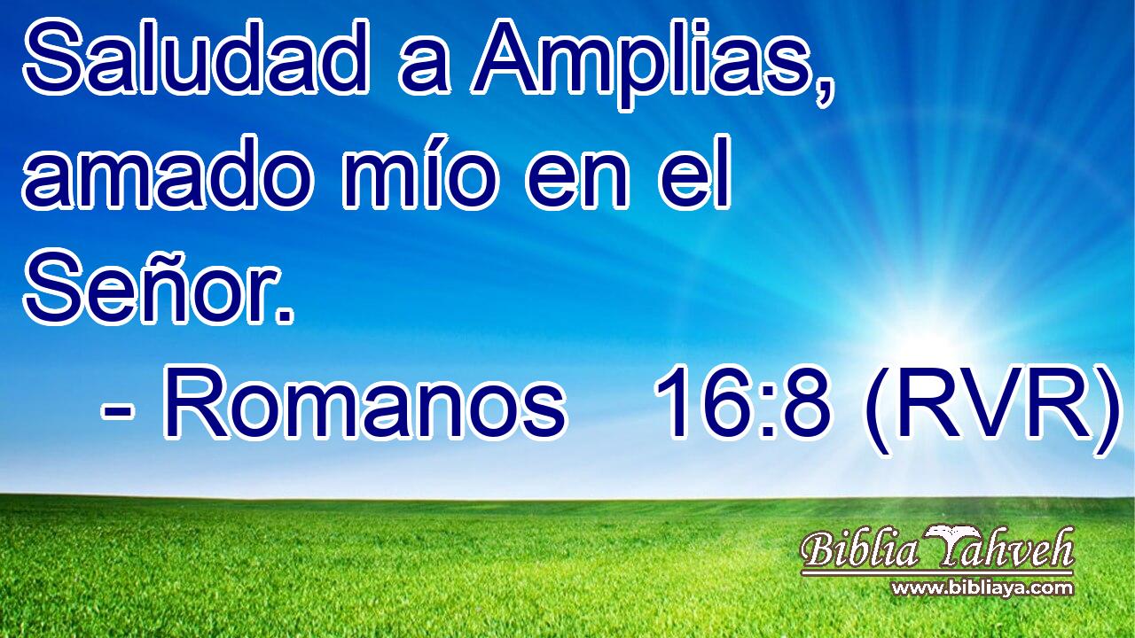 Saludad a Amplias, amado mío en el Señor.
