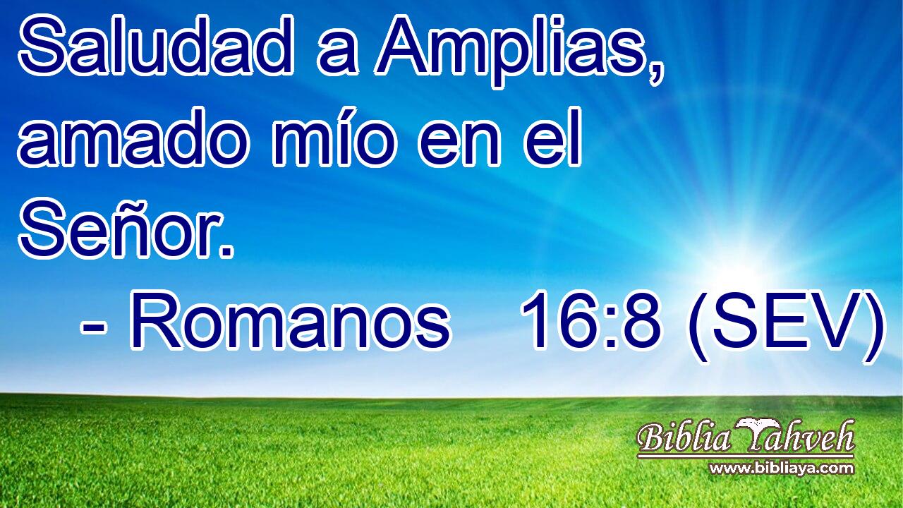 Saludad a Amplias, amado mío en el Señor.