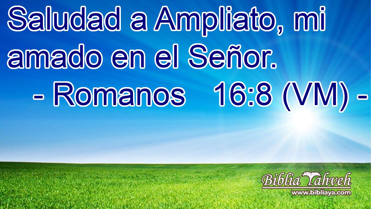  Saludad a Ampliato, mi amado en el Señor. 