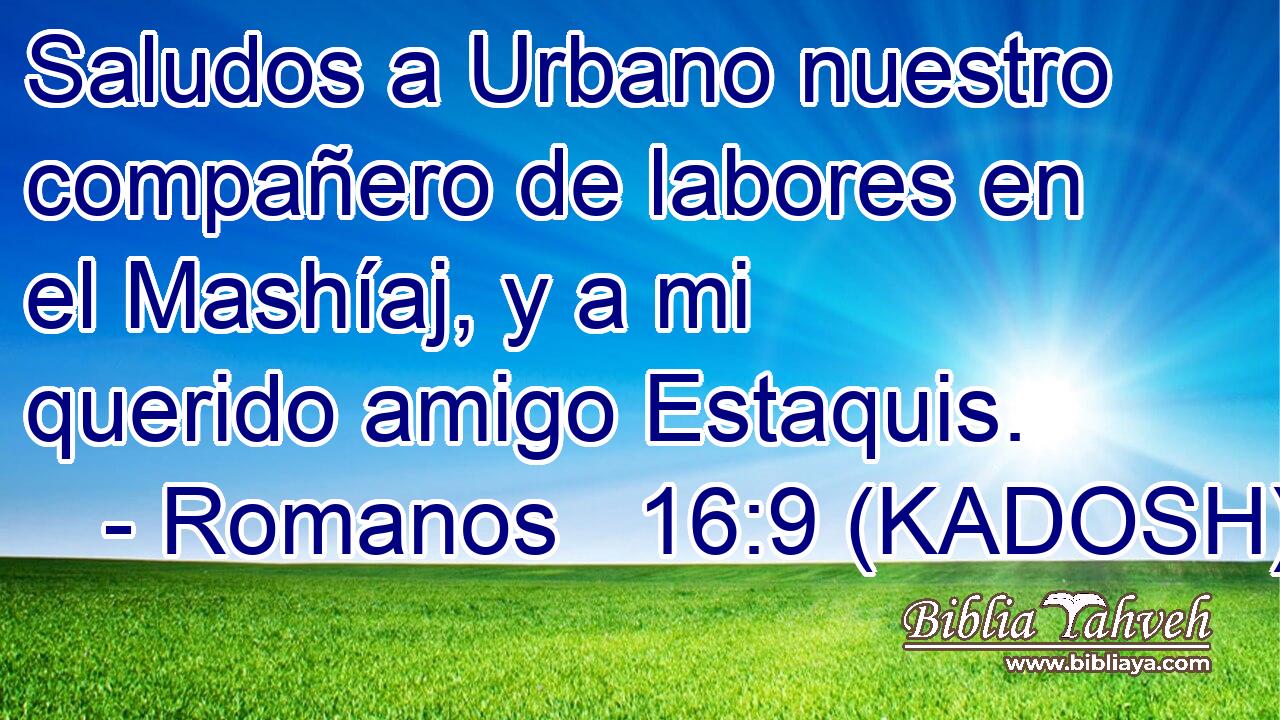  Saludos a Urbano nuestro compañero de labores en el Mashíaj, y a mi querido amigo Estaquis. 