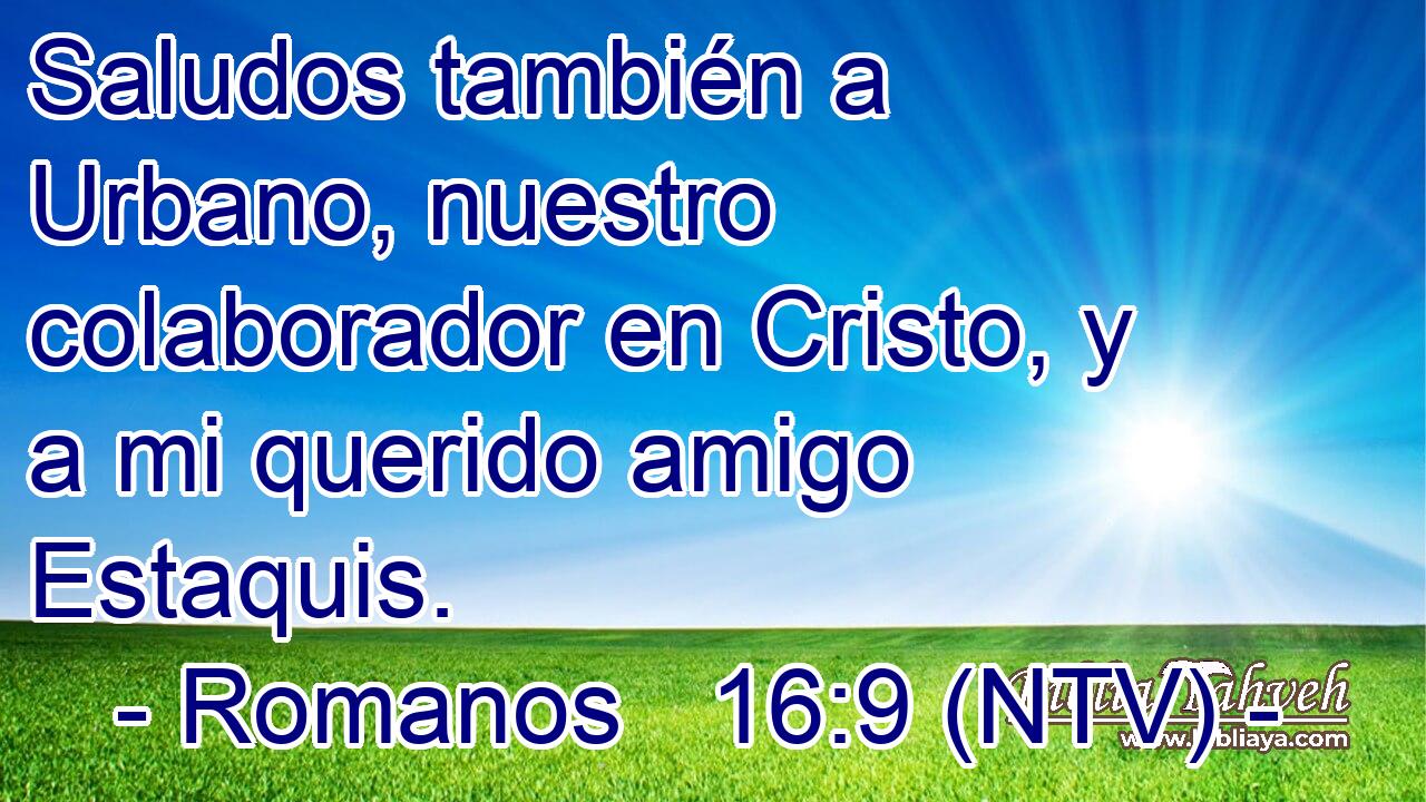 Saludos también a Urbano, nuestro colaborador en Cristo, y a mi querido amigo Estaquis.