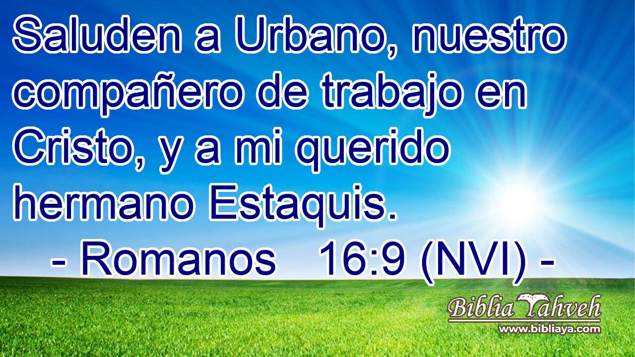  Saluden a Urbano, nuestro compañero de trabajo en Cristo, y a mi querido hermano Estaquis. 