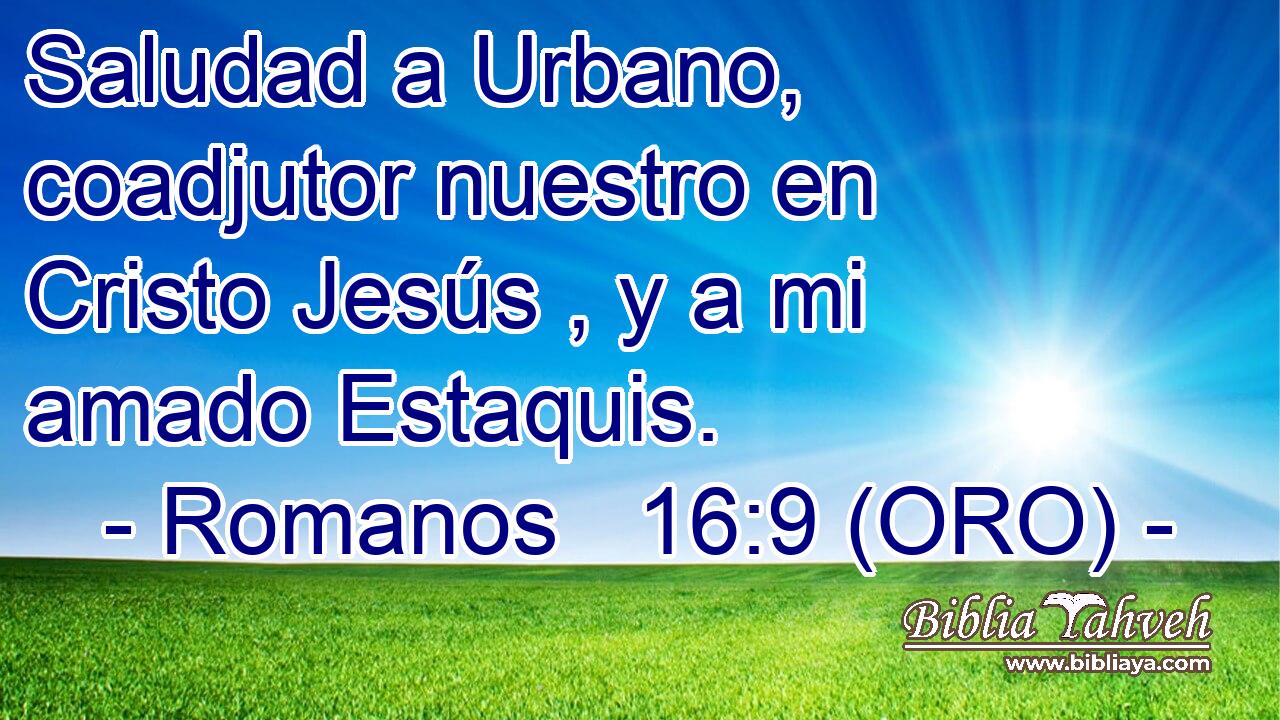  Saludad a Urbano, coadjutor nuestro en Cristo Jesús , y a mi amado Estaquis. 