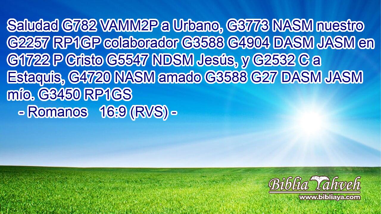 Saludad G782 VAMM2P a Urbano, G3773 NASM nuestro G2257 RP1GP colaborador G3588 G4904 DASM JASM en G1722 P Cristo G5547 NDSM Jesús, y G2532 C a Estaquis, G4720 NASM amado G3588 G27 DASM JASM mío. G3450 RP1GS 