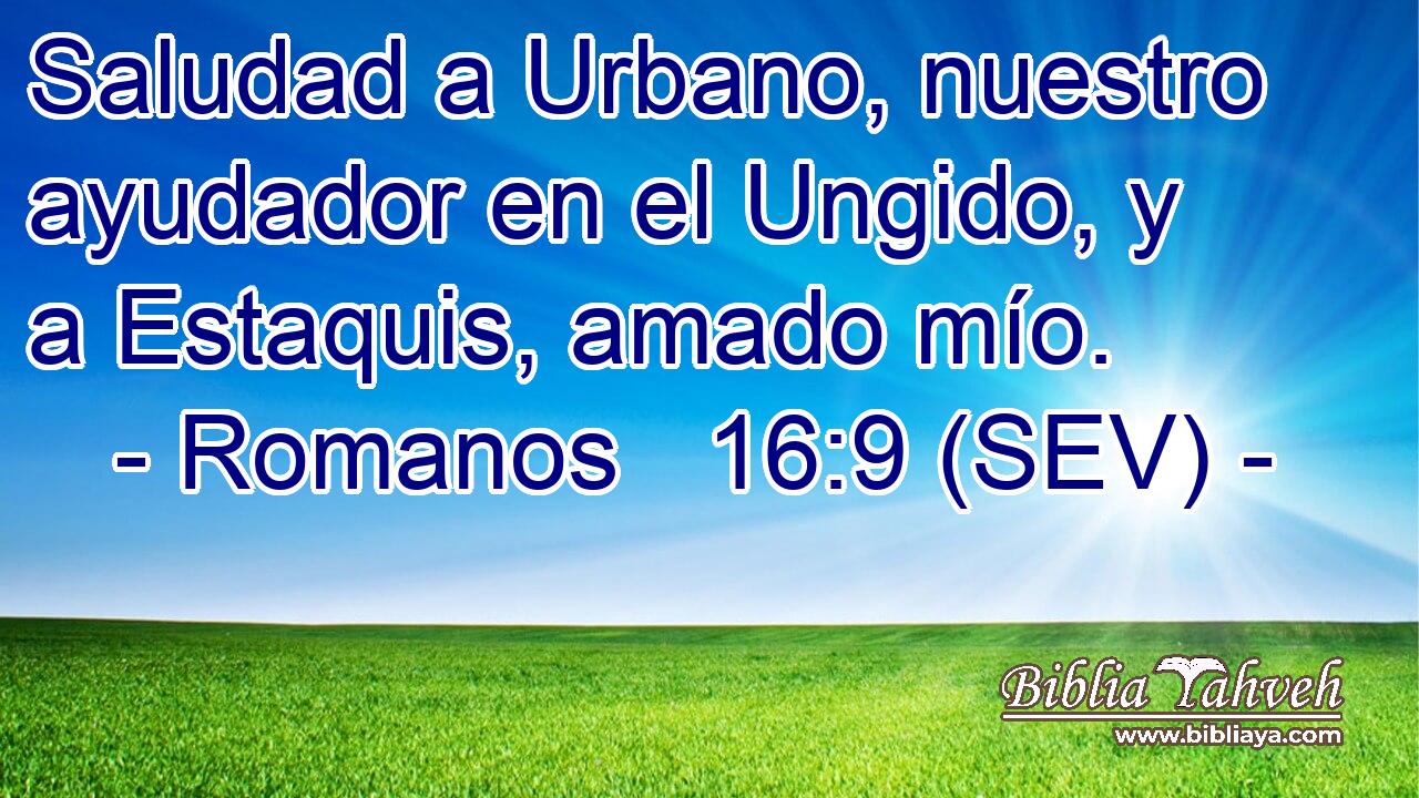 Saludad a Urbano, nuestro ayudador en el Ungido, y a Estaquis, amado mío.