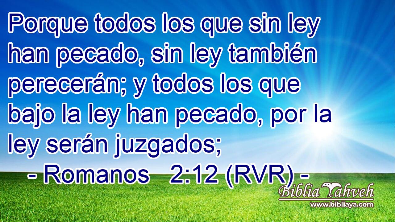 Porque todos los que sin ley han pecado, sin ley también perecerán; y todos los que bajo la ley han pecado, por la ley serán juzgados;
