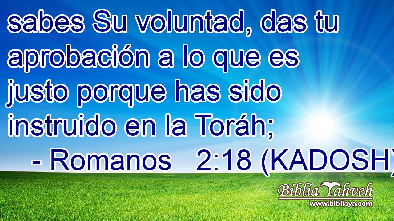  sabes Su voluntad, das tu aprobación a lo que es justo porque has sido instruido en la Toráh; 