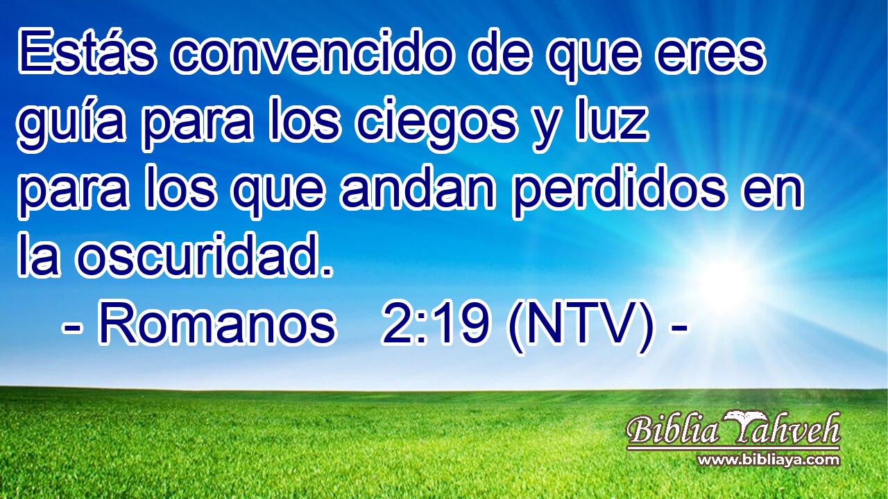 Estás convencido de que eres guía para los ciegos y luz para los que andan perdidos en la oscuridad.