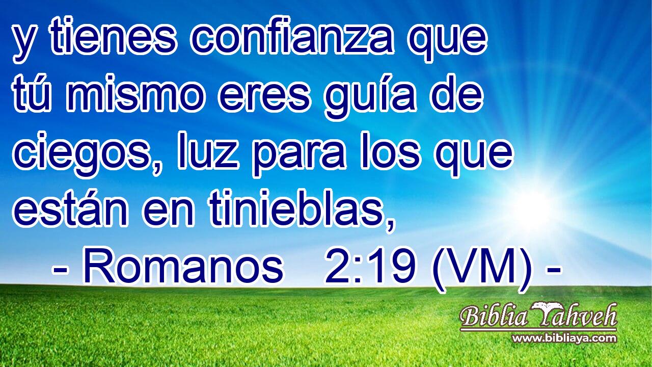  y tienes confianza que tú mismo eres guía de ciegos, luz para los que están en tinieblas, 