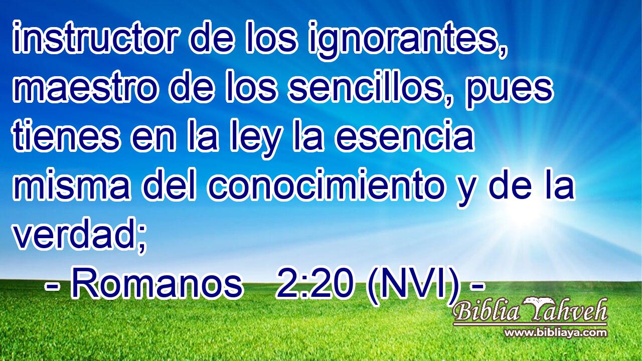  instructor de los ignorantes, maestro de los sencillos, pues tienes en la ley la esencia misma del conocimiento y de la verdad; 