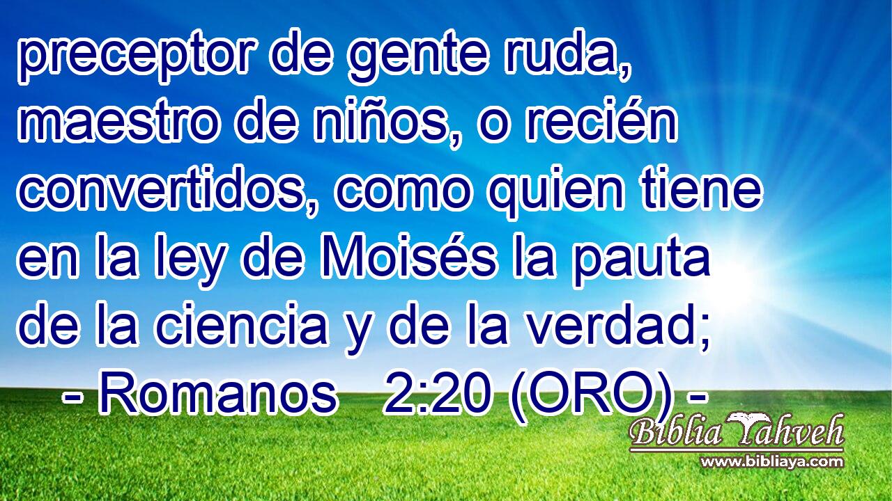  preceptor de gente ruda, maestro de niños, o recién convertidos, como quien tiene en la ley de Moisés la pauta de la ciencia y de la verdad; 