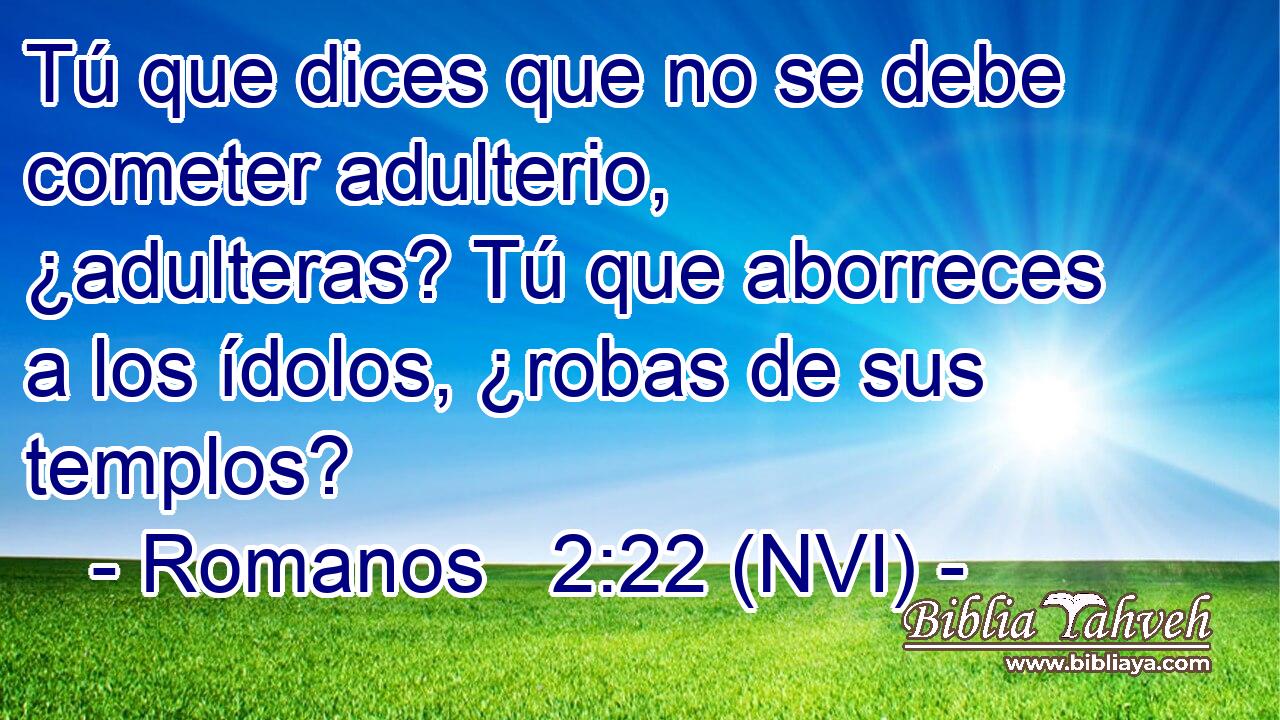  Tú que dices que no se debe cometer adulterio, ¿adulteras? Tú que aborreces a los ídolos, ¿robas de sus templos? 