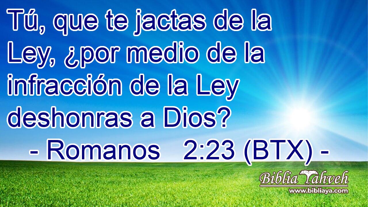 Tú, que te jactas de la Ley, ¿por medio de la infracción de la Ley deshonras a Dios?