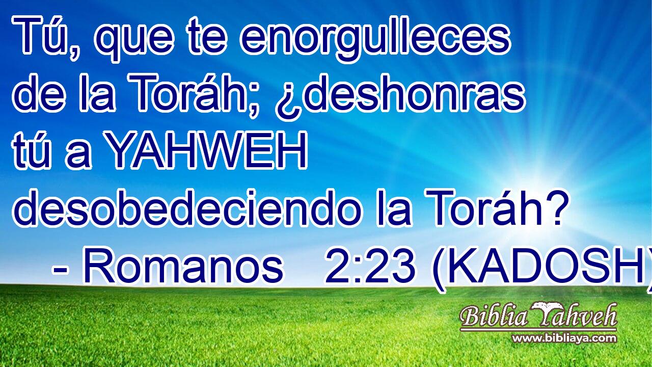  Tú, que te enorgulleces de la Toráh; ¿deshonras tú a YAHWEH desobedeciendo la Toráh? 