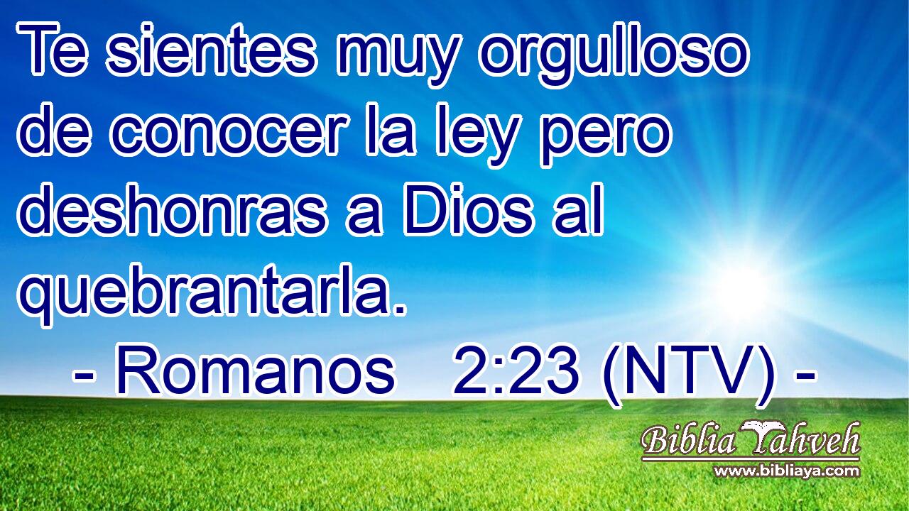 Te sientes muy orgulloso de conocer la ley pero deshonras a Dios al quebrantarla.
