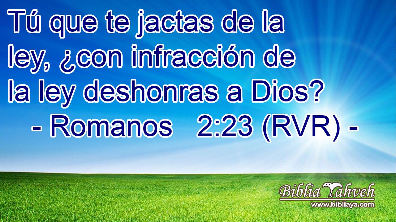 Tú que te jactas de la ley, ¿con infracción de la ley deshonras a Dios?