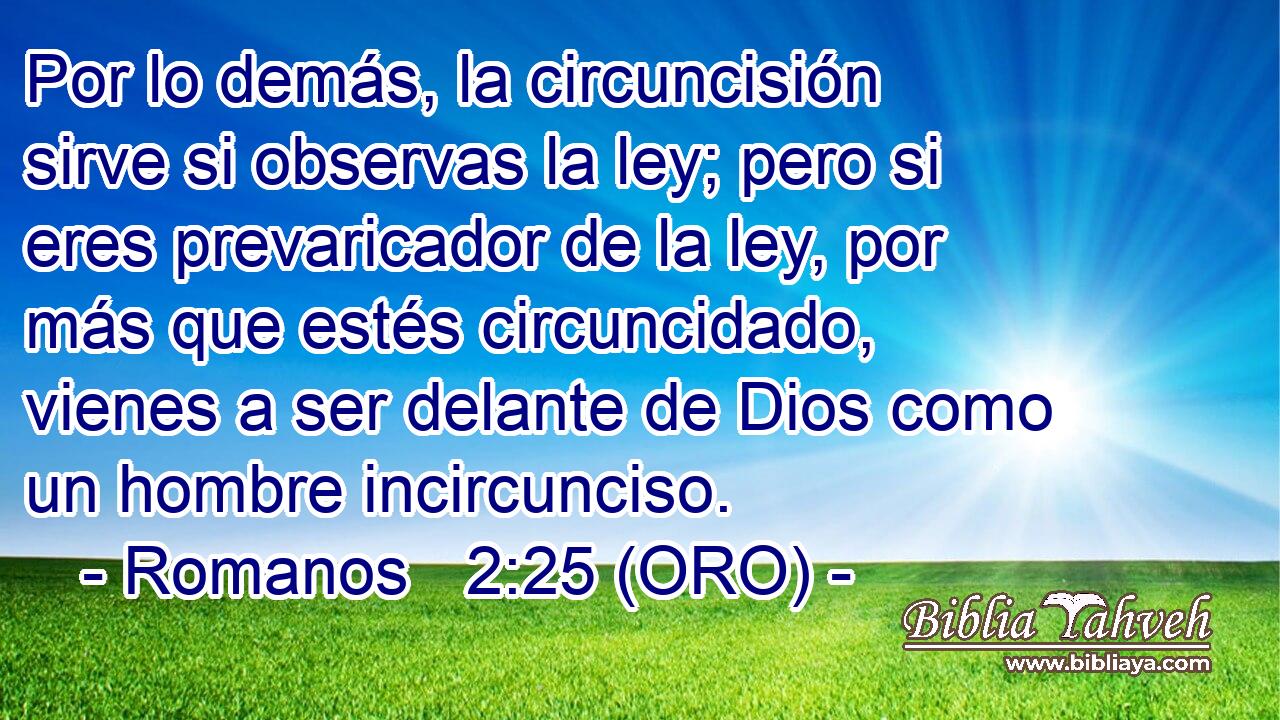  Por lo demás, la circuncisión sirve si observas la ley; pero si eres prevaricador de la ley, por más que estés circuncidado, vienes a ser delante de Dios como un hombre incircunciso. 