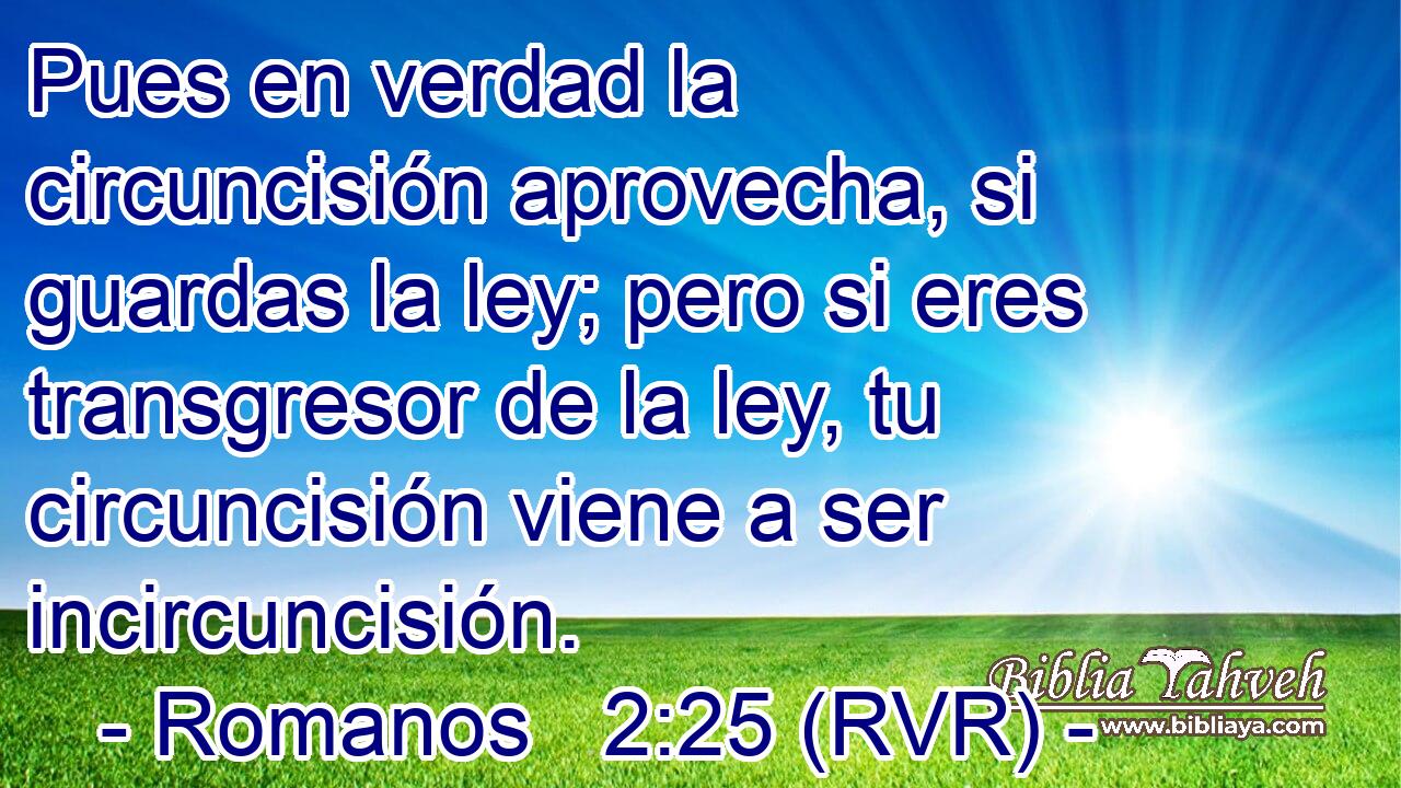 Pues en verdad la circuncisión aprovecha, si guardas la ley; pero si eres transgresor de la ley, tu circuncisión viene a ser incircuncisión.