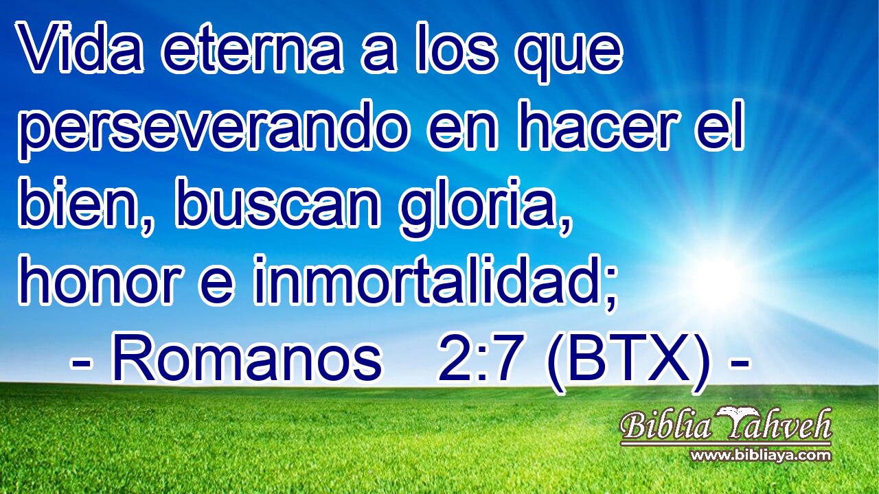 Vida eterna a los que perseverando en hacer el bien, buscan gloria, honor e inmortalidad;