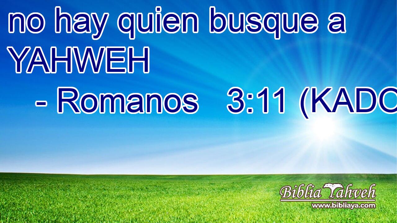  no hay quien busque a YAHWEH  