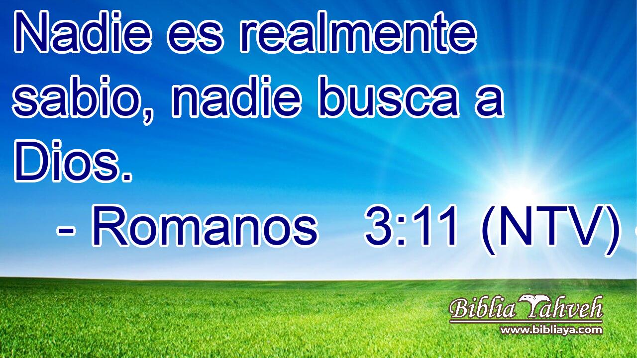 Nadie es realmente sabio, nadie busca a Dios.