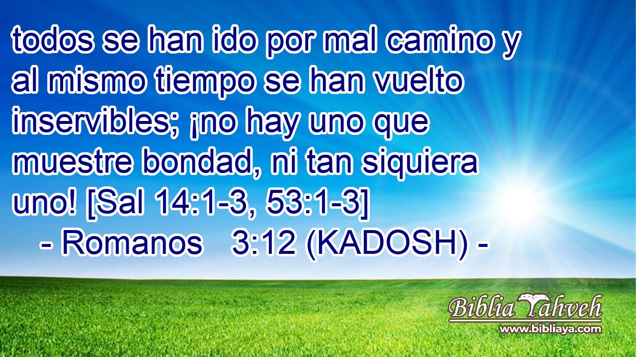  todos se han ido por mal camino y al mismo tiempo se han vuelto inservibles; ¡no hay uno que muestre bondad, ni tan siquiera uno! [Sal 14:1-3, 53:1-3] 