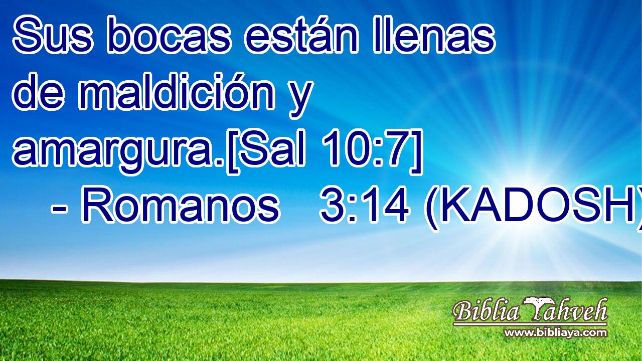  Sus bocas están llenas de maldición y amargura.[Sal 10:7] 