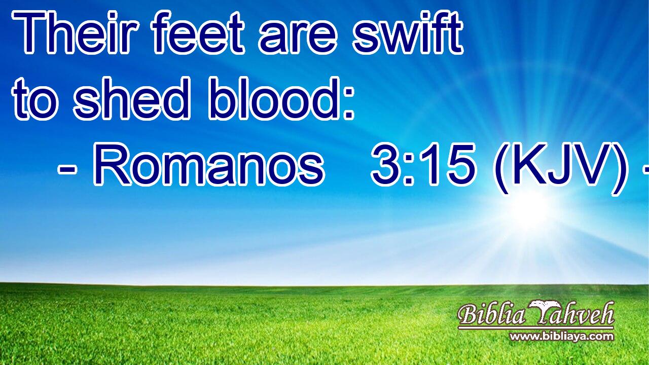 Their feet are swift to shed blood: