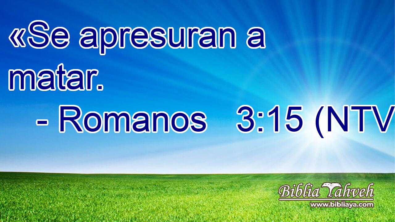 «Se apresuran a matar.