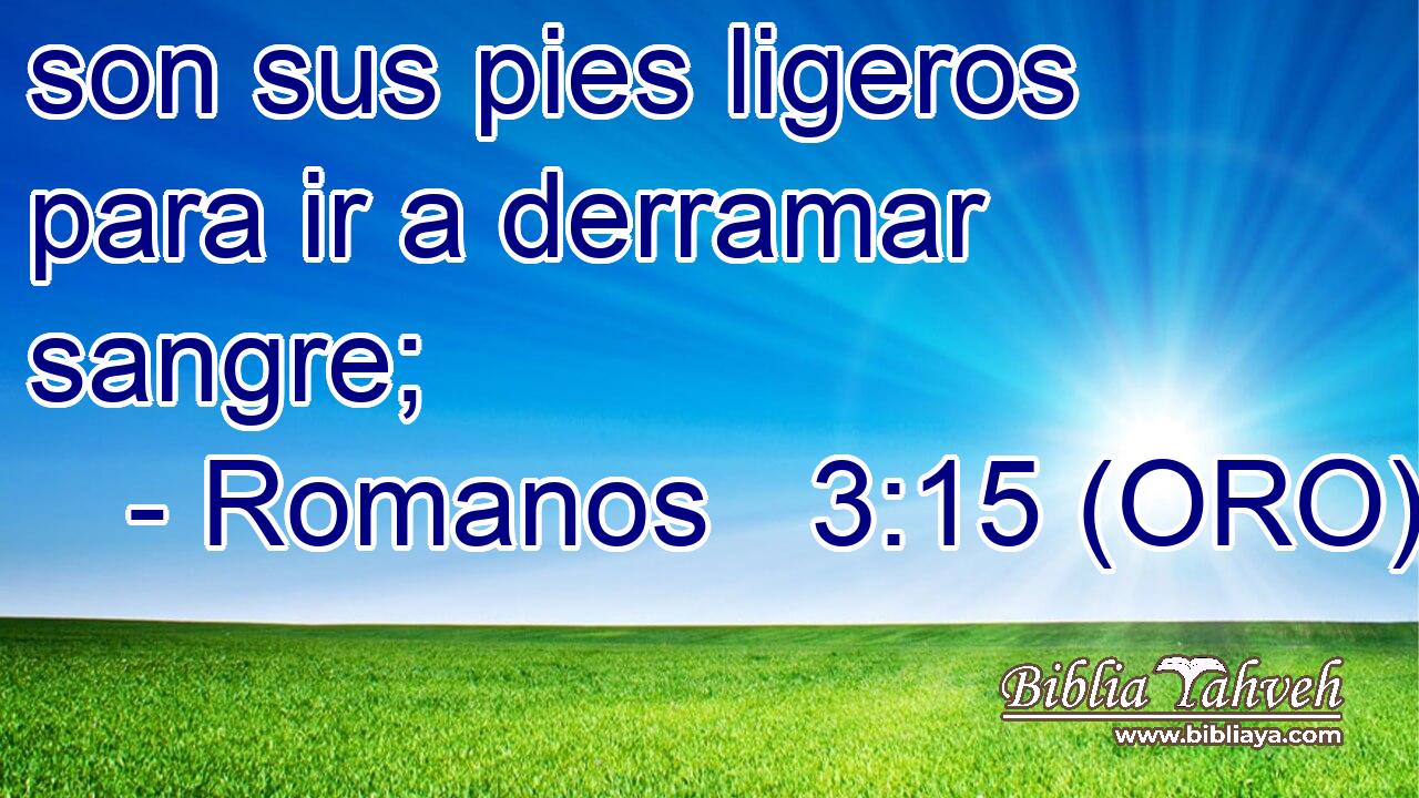  son sus pies ligeros para ir a derramar sangre; 