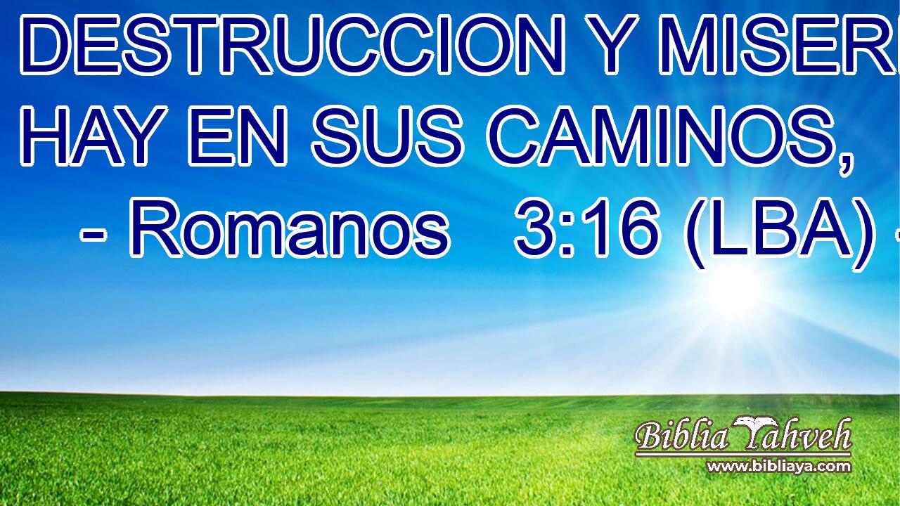 DESTRUCCION Y MISERIA HAY EN SUS CAMINOS,