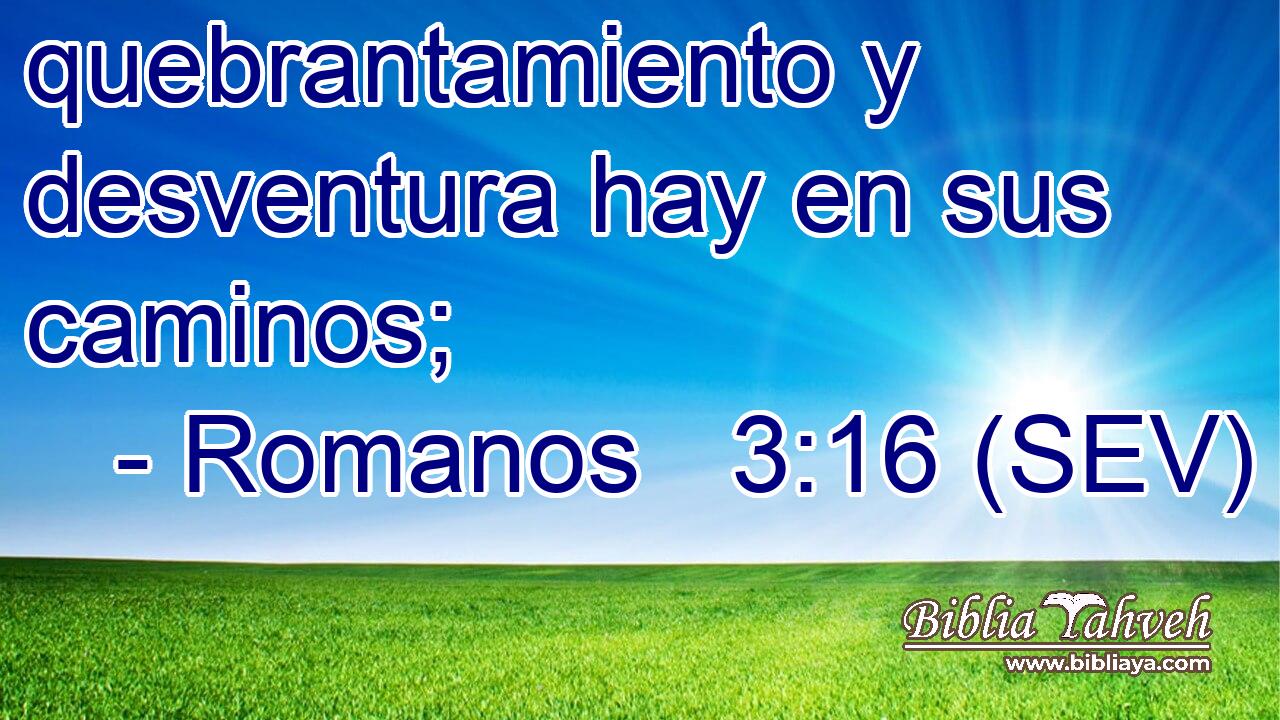 quebrantamiento y desventura hay en sus caminos;
