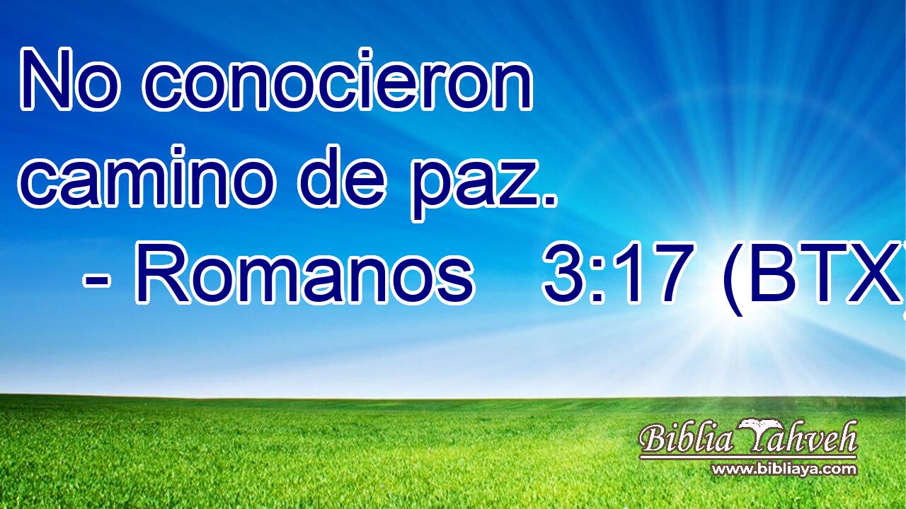 No conocieron camino de paz.