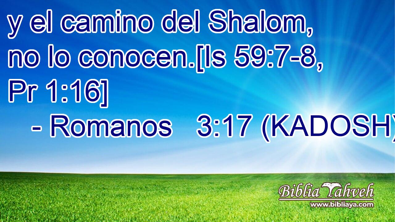  y el camino del Shalom, no lo conocen.[Is 59:7-8, Pr 1:16] 