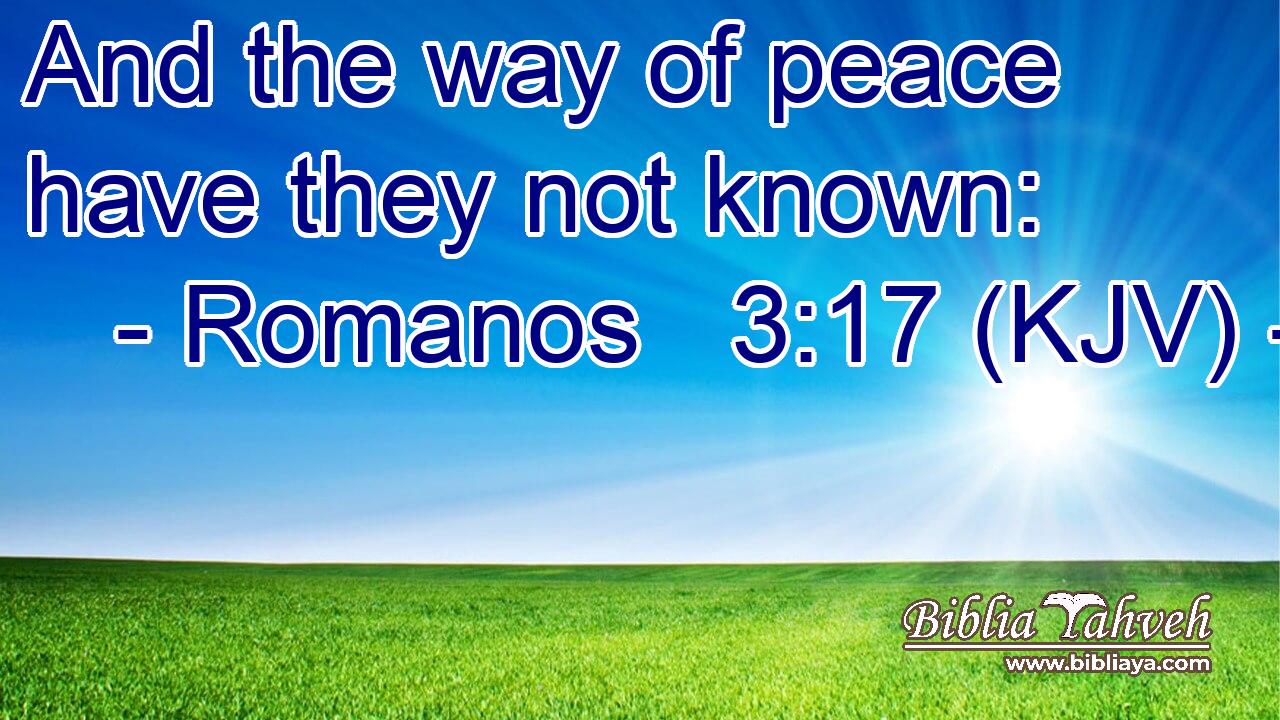 And the way of peace have they not known: