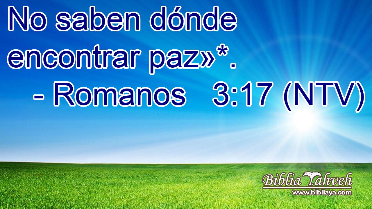 No saben dónde encontrar paz»*.